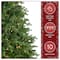 7.5ft. Pre-Lit PowerConnect™ Princeton Fraser Fir Artificial Christmas Tree, Dual Color® LED Lights